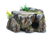 Kazoo Greystone Cave With Plants