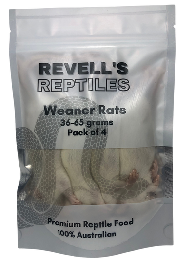 Rats Frozen Weaners 4 Pack Revell's