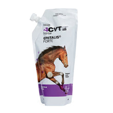 4CYTE Epiitalis Forte Gel for Horses - Woonona Petfoods