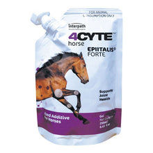 4CYTE Epiitalis Forte Gel for Horses - Woonona Petfoods