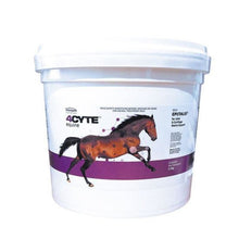 4CYTE Equine Granules 700g - Woonona Petfoods