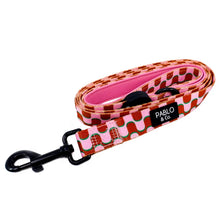 Pablo & Co Dog Leash Mod Madness