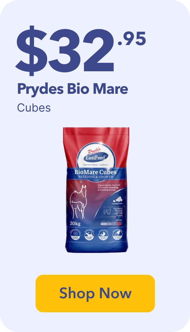 Prydes Bio Mare Sale Banner