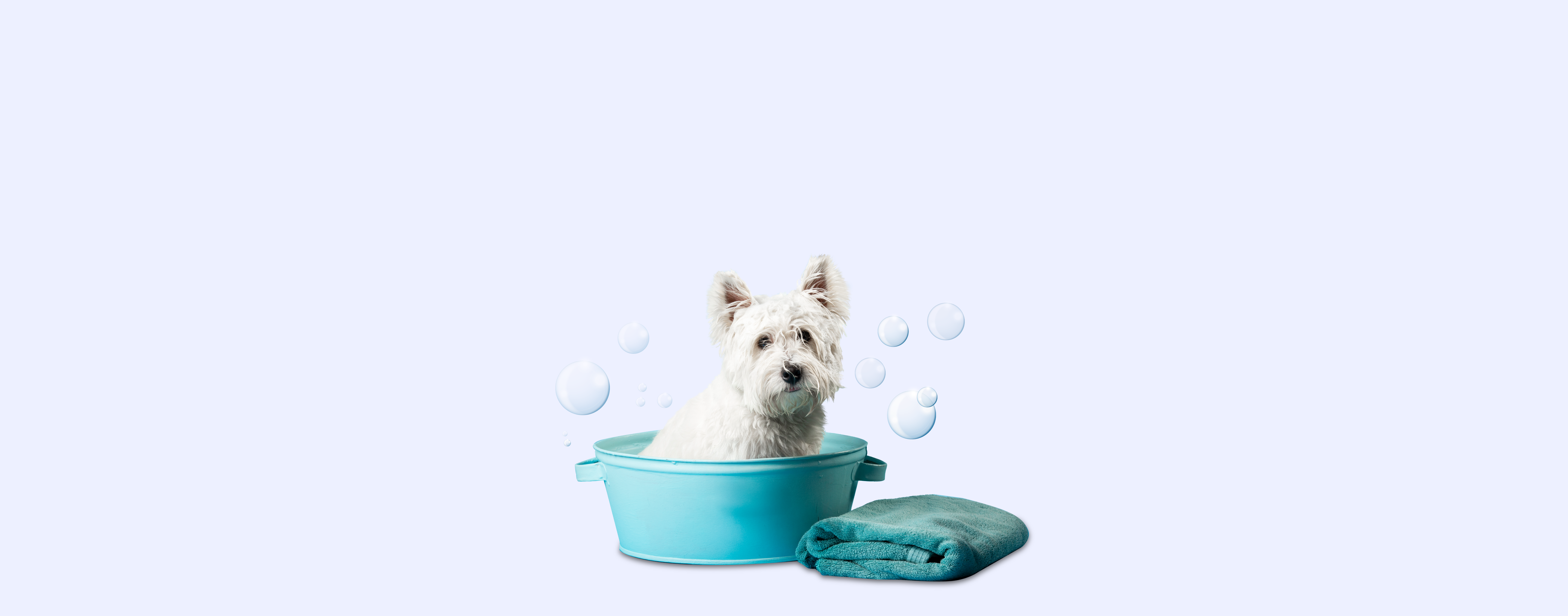 Dog Wash Banner - Woonona Petfoods