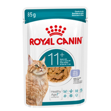 Royal Canin Wet Cat Food Ageing 11+ Chicken in Jelly 85g