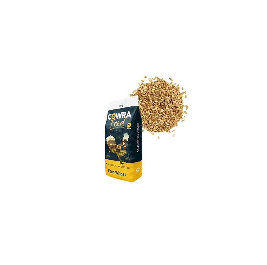 Feed Wheat - Woonona Petfoods