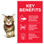 Hill's Science Diet Kitten Healthy Development Chicken Cat Food pouch 85g
