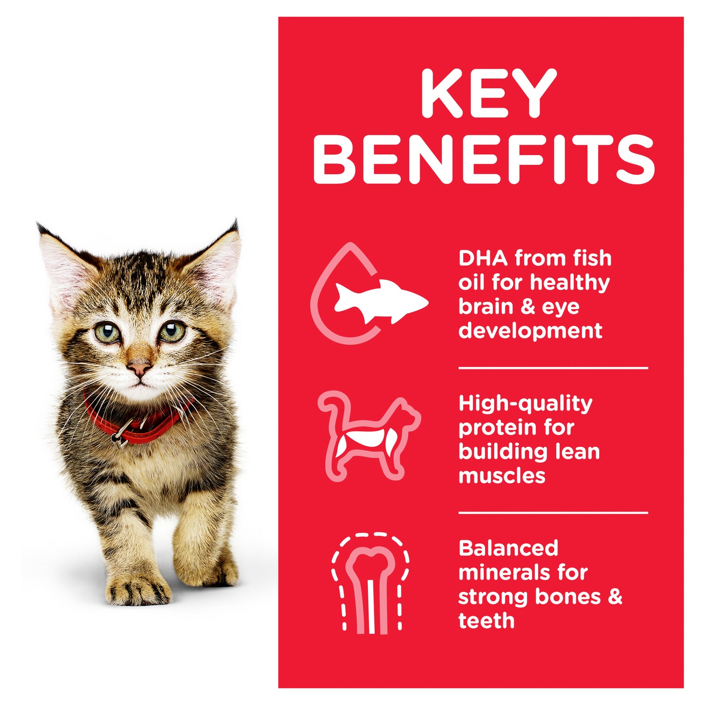 Hill's Science Diet Kitten Healthy Development Chicken Cat Food pouch 85g