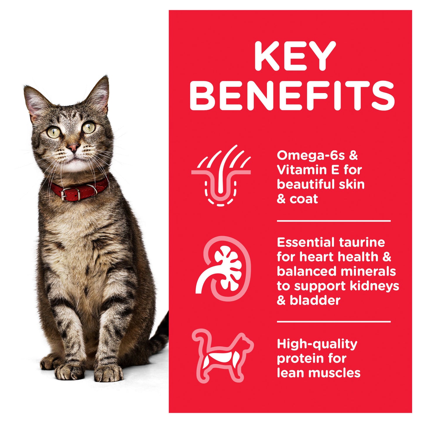 Hill's Science Diet Adult Optimal Care Chicken Cat Food pouches 85g