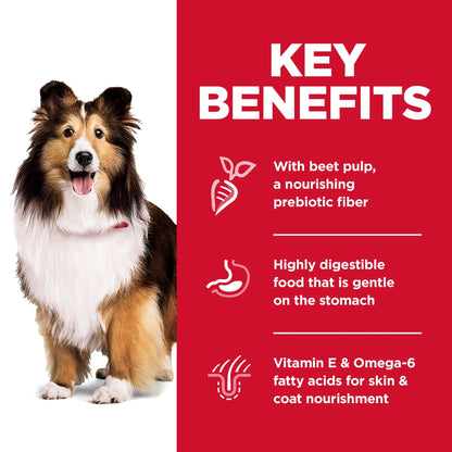 Hill's Science Diet Sensitive Stomach & Skin Adult Dry Dog Food