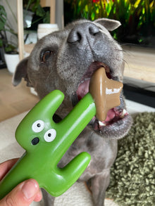 Happy Staffy Co. Cactus Cowboy