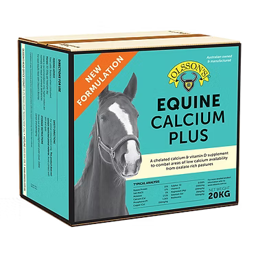 Olssons Equine Calcium Plus Block 20kg