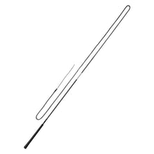 Whip 2 Piece Lunge Whip Black 160cm