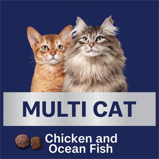 Advance Dry Cat Food Multi Cat Chicken and Ocean Fish - Woonona Petfood & Produce