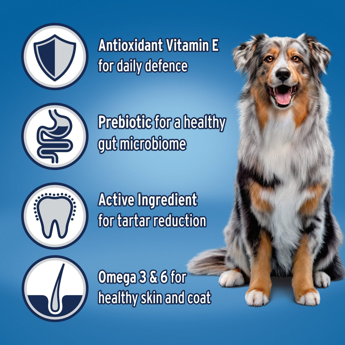 Advance Dry Dog Food Adult Lamb and Rice - Woonona Petfoods
