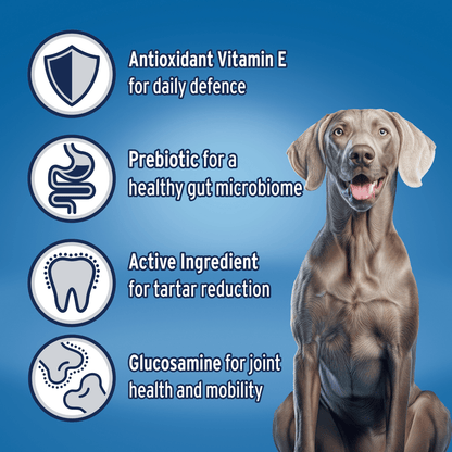 Advance Dry Dog Food Adult Large Breed Turkey 15kg - Woonona Petfoods