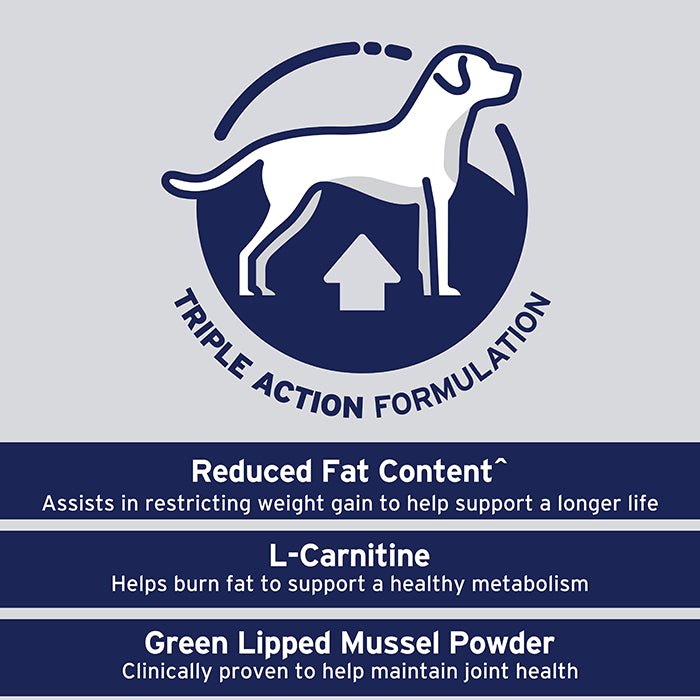 Advance Dry Dog Food Healthy Weight Large Breed - Woonona Petfoods
