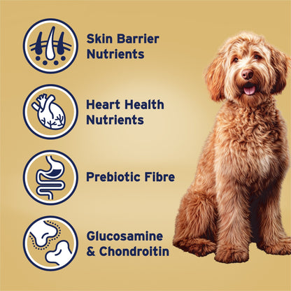 Advance Dry Dog Food Oodles Large Breed Turkey and Rice - Woonona Petfoods