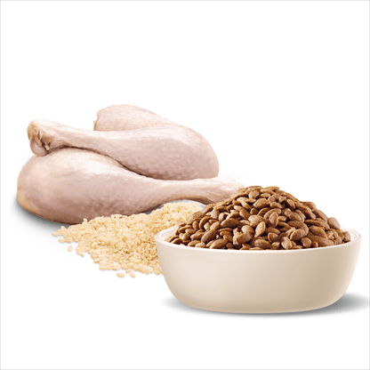 Advance Dry Dog Food Oodles Small Breed Turkey and Rice - Woonona Petfoods