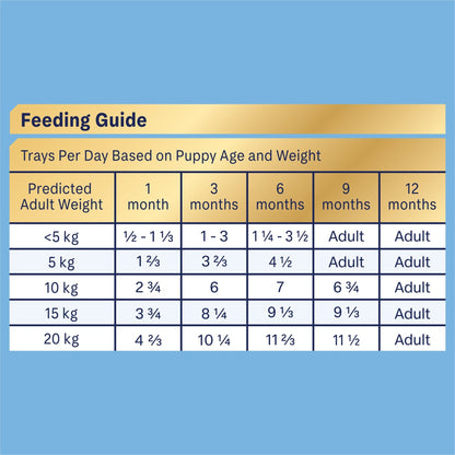 Advance Wet Dog Puppy Oodles 12x100g - Woonona Petfoods