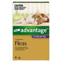 Advantage Cat Over 4kg Purple - Woonona Petfood & Produce