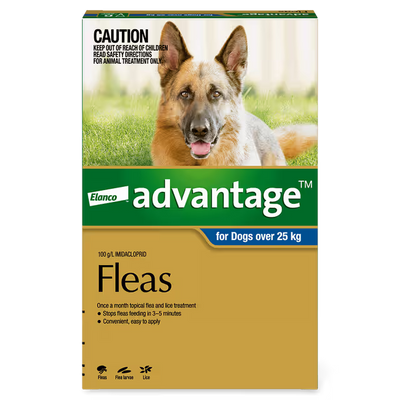 Advantage Dog 25-50kg Blue