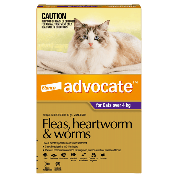 Advocate Cat Over 4kg Purple - Woonona Petfood & Produce