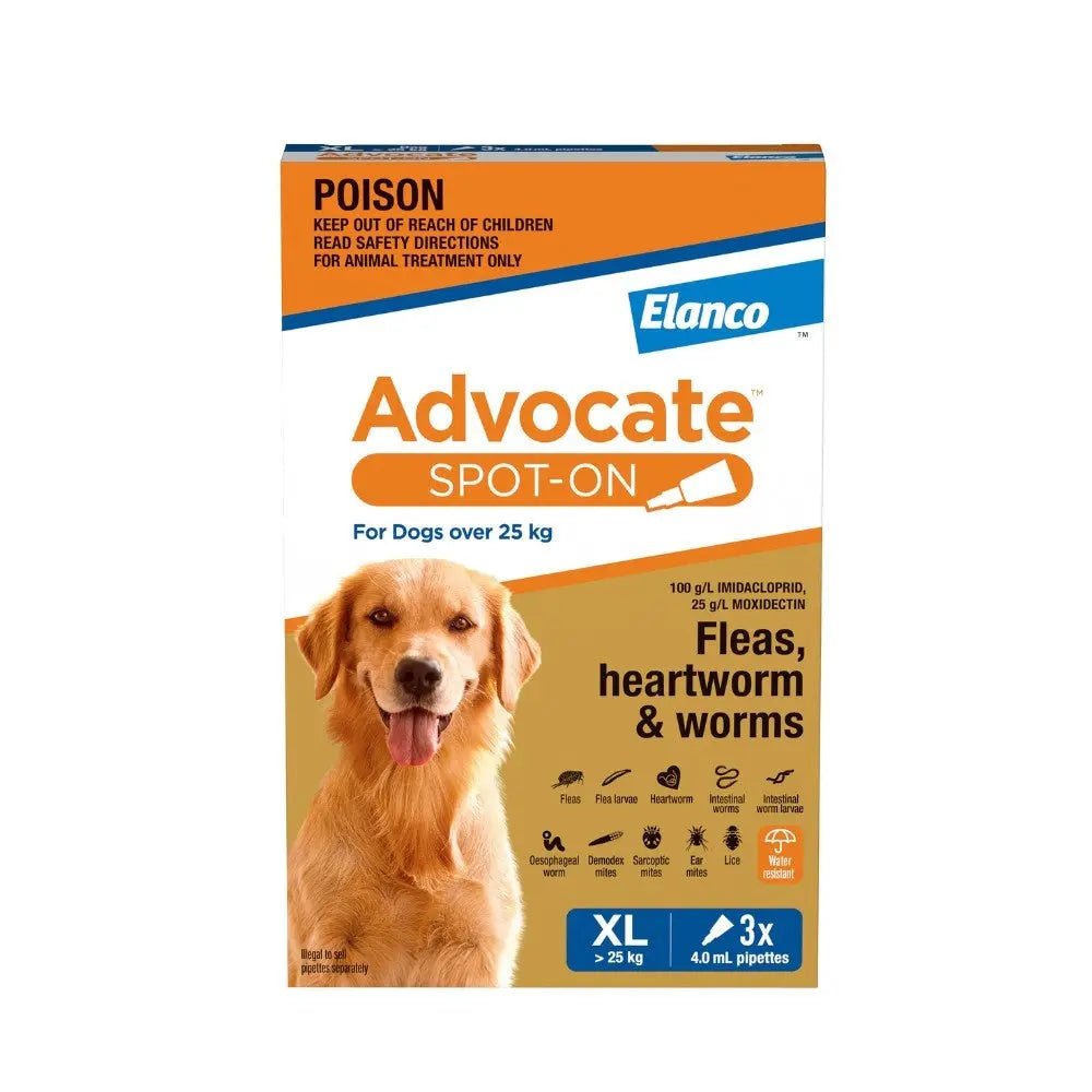 Advocate Dog Over 25kg Blue - Woonona Petfoods