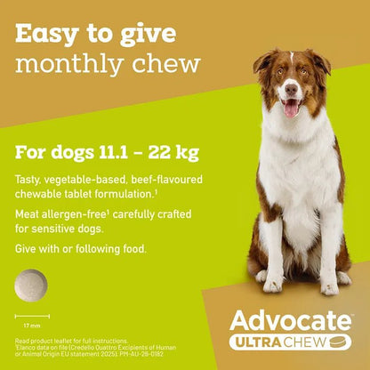 Advocate Ultra Chew Large 11.1 - 22kg - Woonona Petfoods