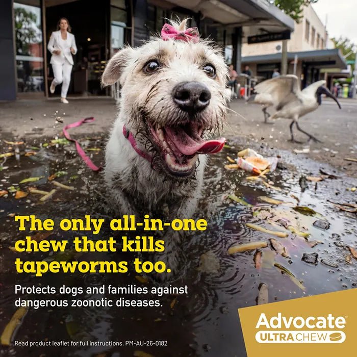 Advocate Ultra Chew Small 2.9 - 5.5kg - Woonona Petfoods