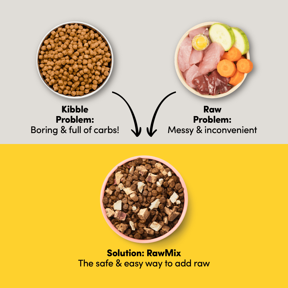 Animals Like Us Raw Mix Ocean Fish 2kg - Woonona Petfoods