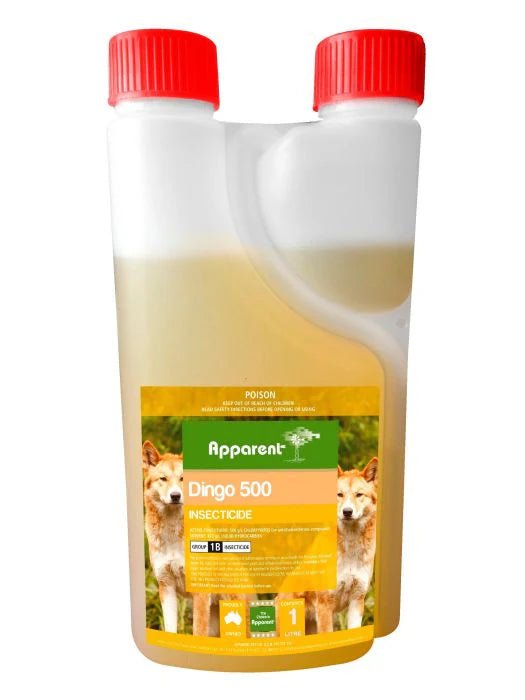 Apparent Dingo 500 - Woonona Petfoods
