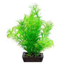 Aqua One Ecoscape Ambulia Green Small - Woonona Petfoods