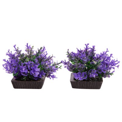 Aqua One Ecoscape Foreground Catspaw Purple 2 Pack - Woonona Petfoods