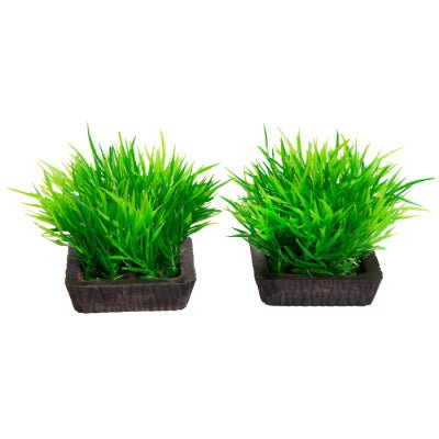 Aqua One Ecoscape Foreground Catspaw Purple 2 Pack - Woonona Petfoods