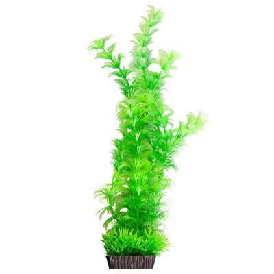 Aqua One Ecoscape Large Ambulia Green