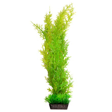 Aqua One Ecoscape Large Christmas Moss Green - Woonona Petfoods