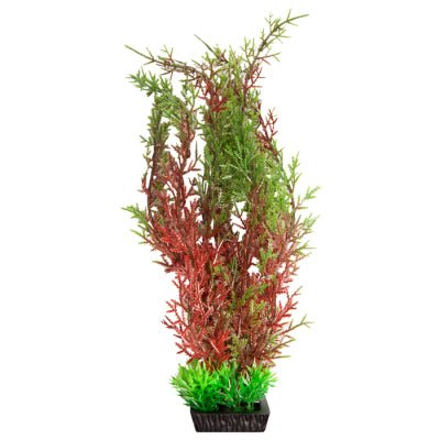 Aqua One Ecoscape Large Christmas Moss Red
