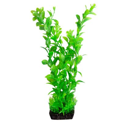 Aqua One Ecoscape Large Hygro Green