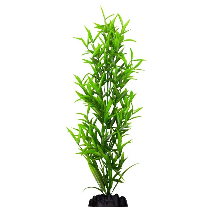 Aqua One Ecoscape Large Hygrophilia - Woonona Petfoods