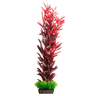 Aqua One Ecoscape Large Ludwigia Brevipes Red - Woonona Petfoods