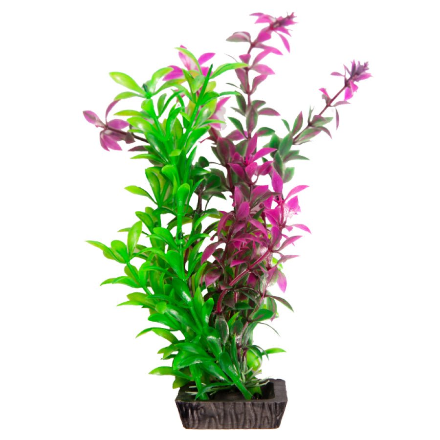Aqua One Ecoscape Medium Rotala Purple - Woonona Petfoods