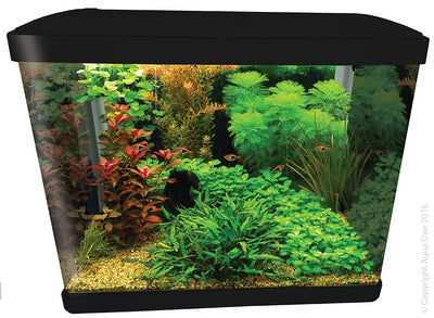 Aqua One Lifestyle 52 Complete Aquarium 52 Litre - Woonona Petfood & Produce