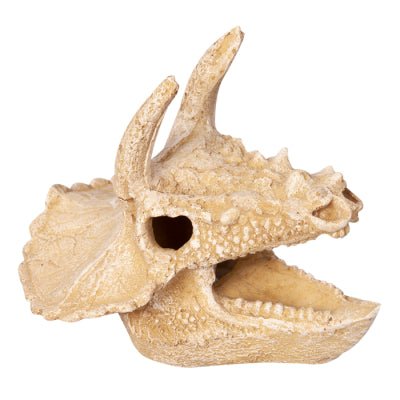 Aqua One Ornament Bisticeratops Skull - Woonona Petfood & Produce