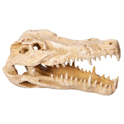 Aqua One Ornament Crocodile Skull - Woonona Petfood & Produce