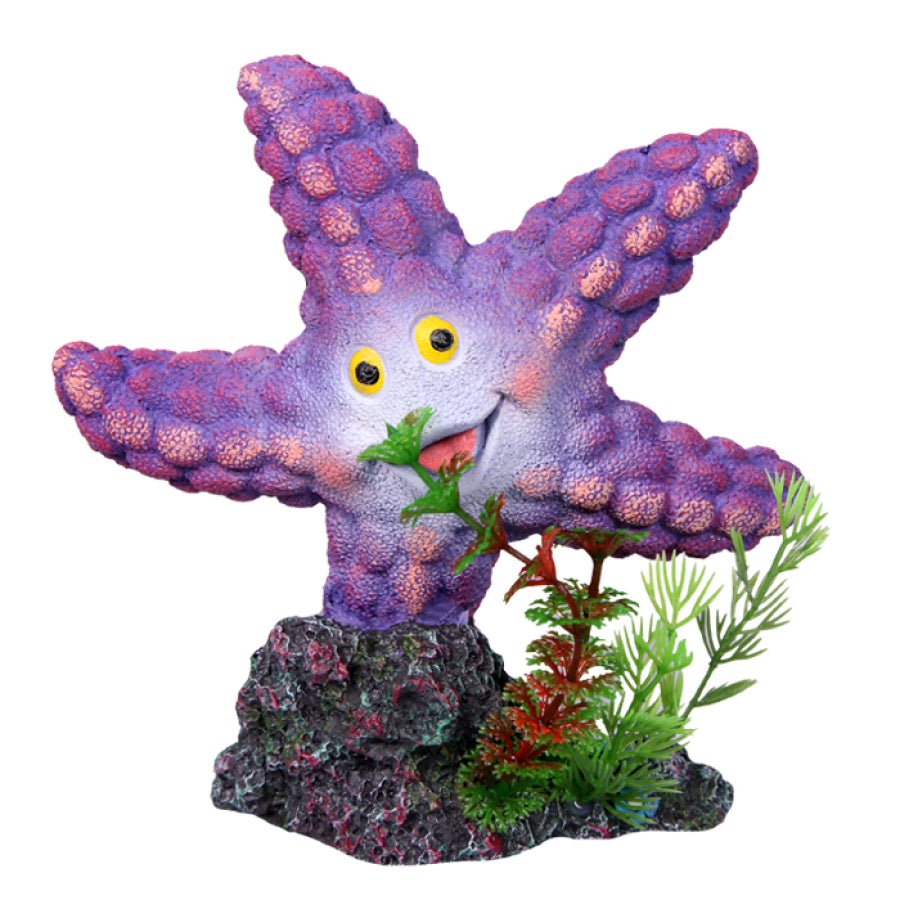 Aqua One Ornament Starfish with Rock - Woonona Petfoods