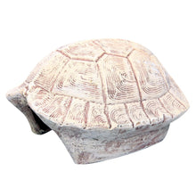 Aqua One Ornament Tortoise Shell Cream - Woonona Petfoods