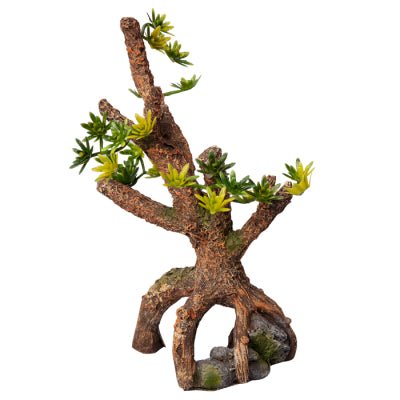 Aqua One Ornament Umbrella Pine Sappling