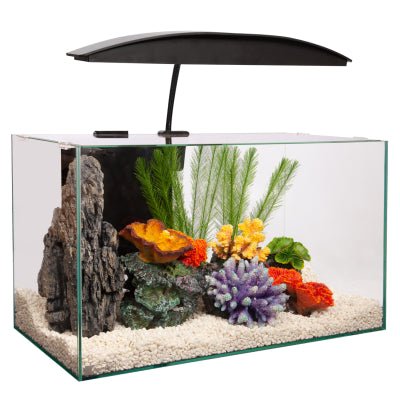Aqua One Reflection 55 Litres Glass Aquarium - Woonona Petfoods
