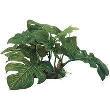 Aqua One Silk Plant Green Leaf on Rock Medium 23cm - Woonona Petfoods